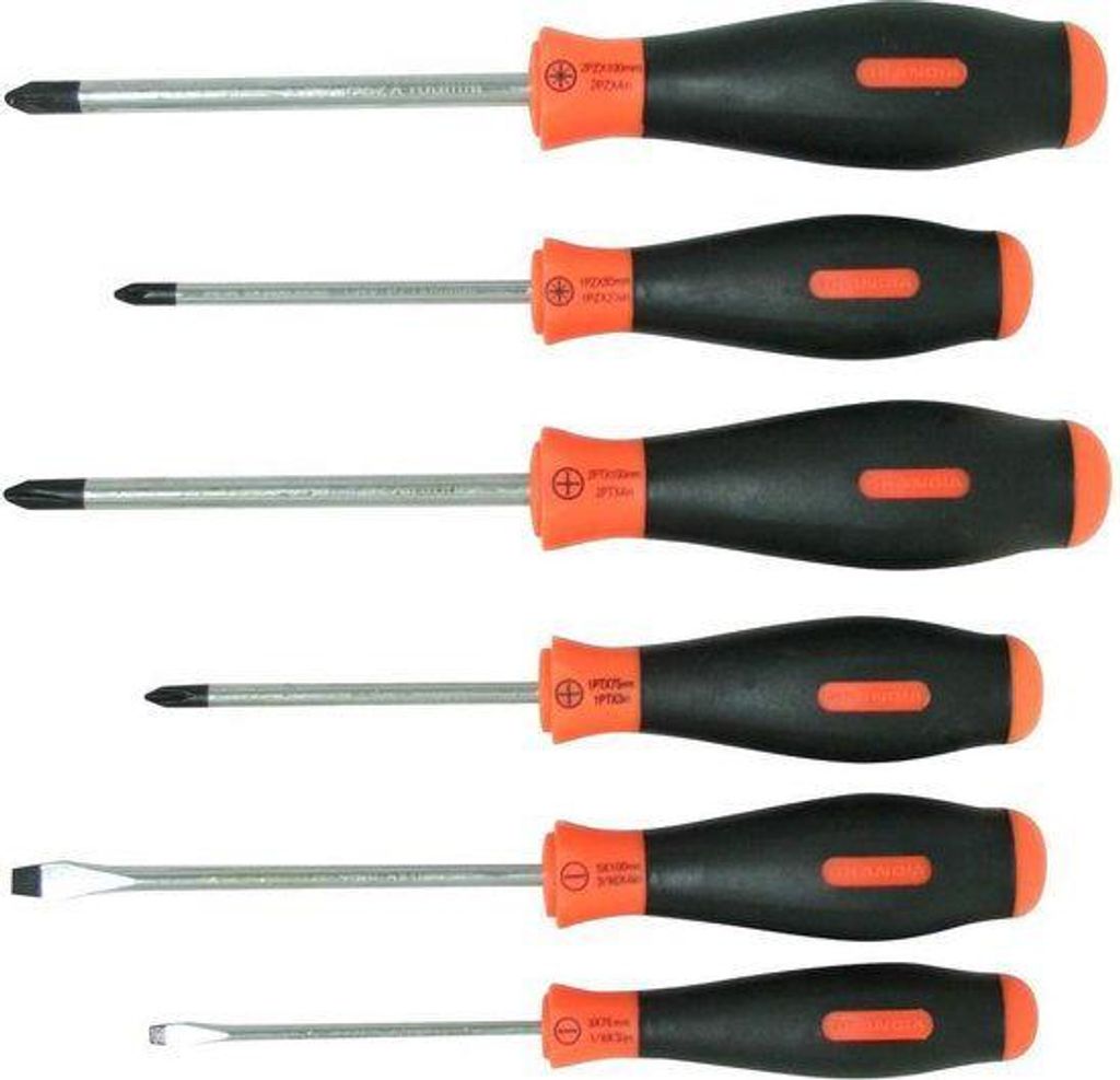 Skandia Schraubendreher-Set 2 komp. 6 Stück