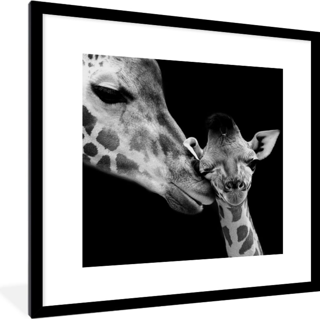 MuchoWow Gerahmtes Poster Tiere - Schwarz - Weiß - Giraffe - Porträt 40x40 cm - Poster mit Schwarzem Bilderrahmen Wandposter Rahmen Foto Bilder...