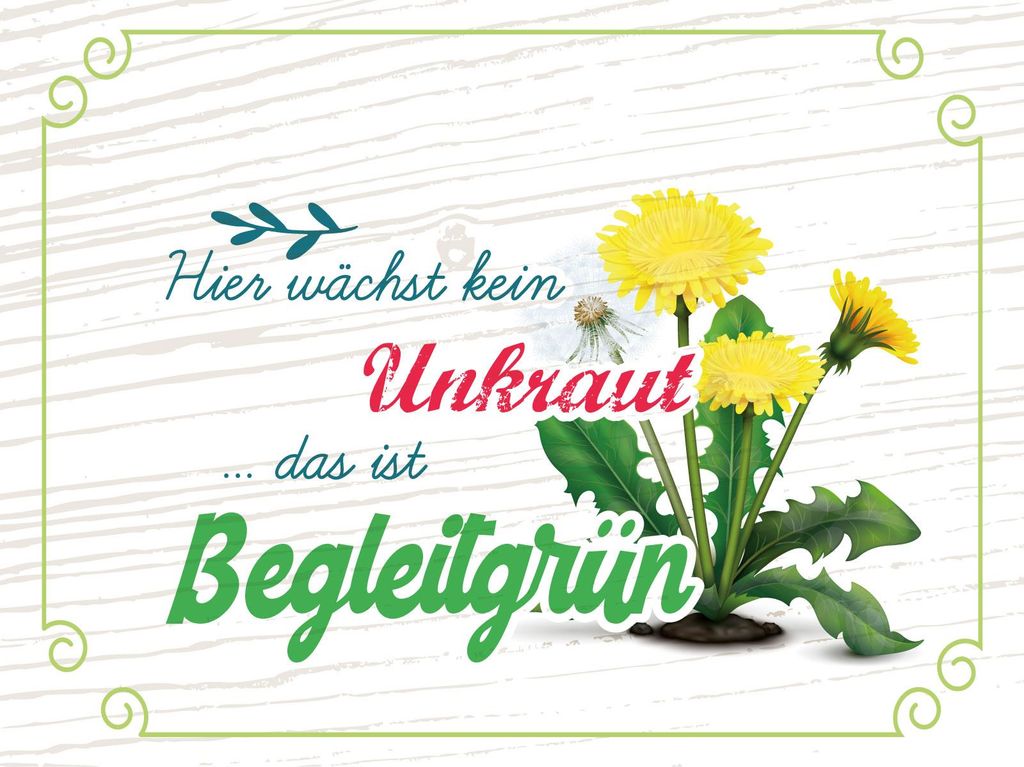 vianmo Holzschild 30x40 cm kein Unkraut das ist Begleitgrün Deko Schild