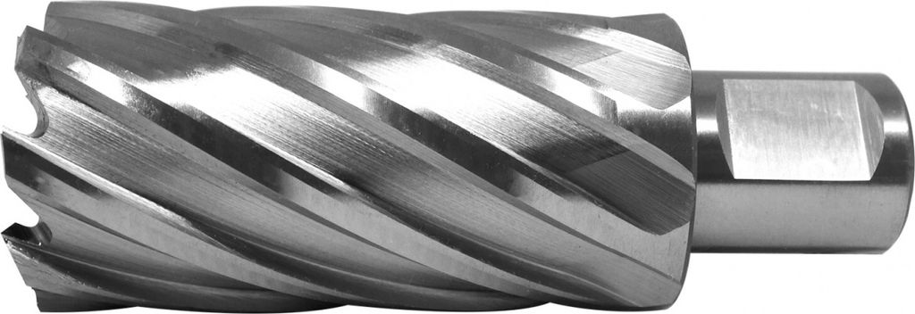 PAULIMOT HSS-Kernbohrer mit Bohrtiefe 55 mm, Ø 31 mm