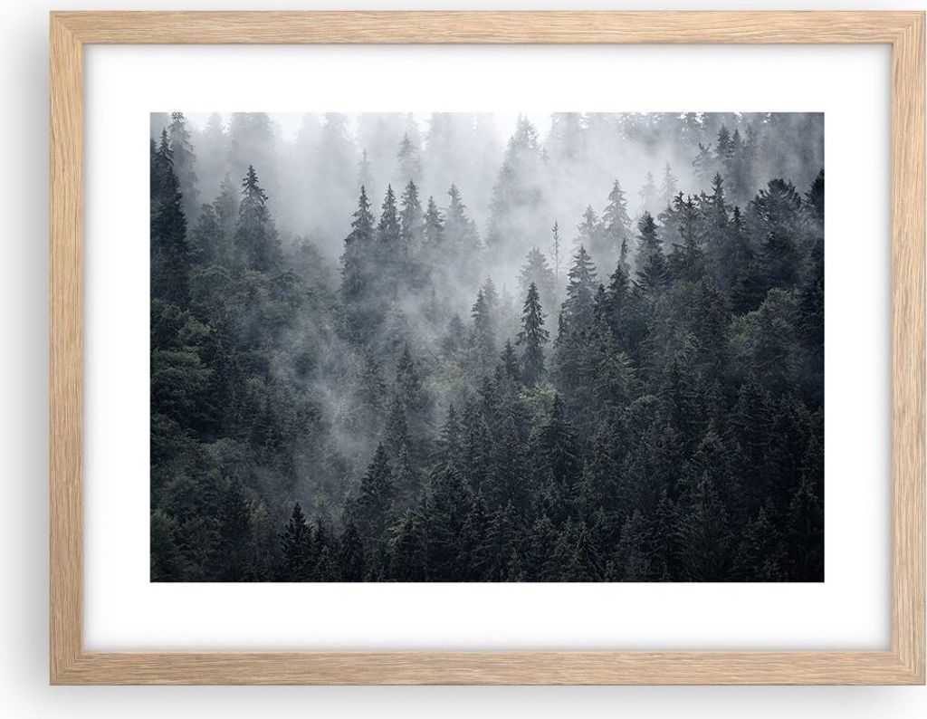 Gerahmtes Poster - Rahmen in heller Eiche - Wald Baum Natur - 40x30 cm - Wand Bild - Wanddeko - Wandbilder - Kunstposter - Wandposter - Bilderrahme...