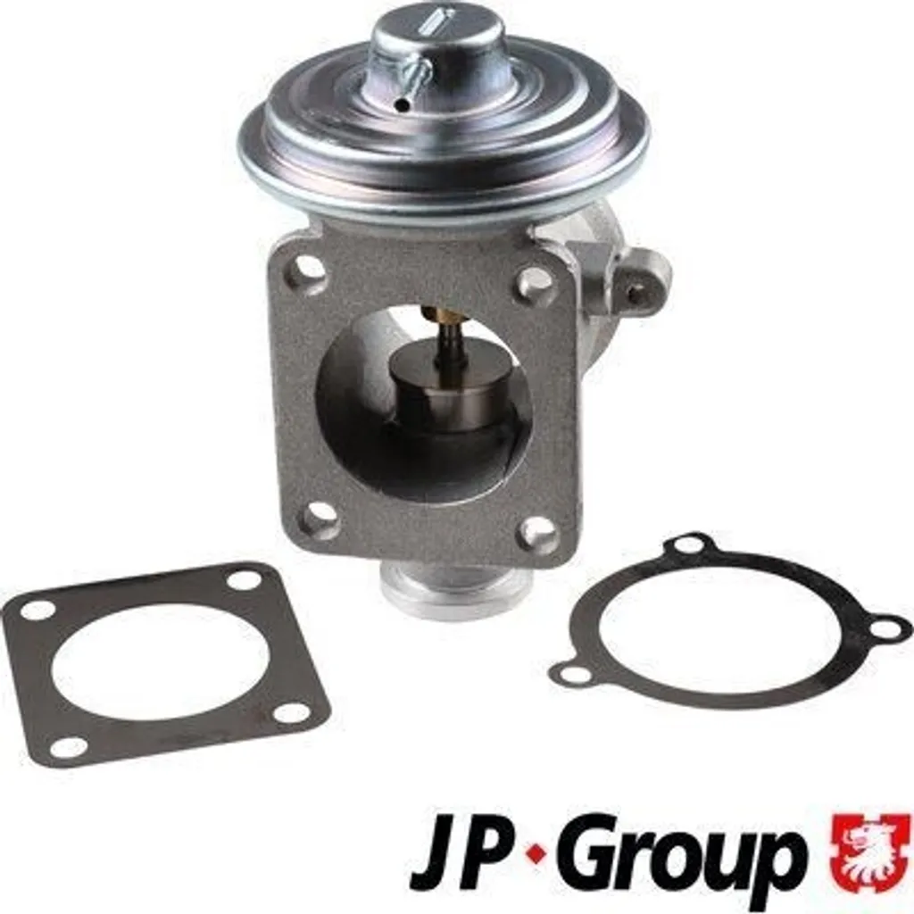 Soupape EGR JP Group 1419900100 pour BMW : Solution voyant moteur et FAP