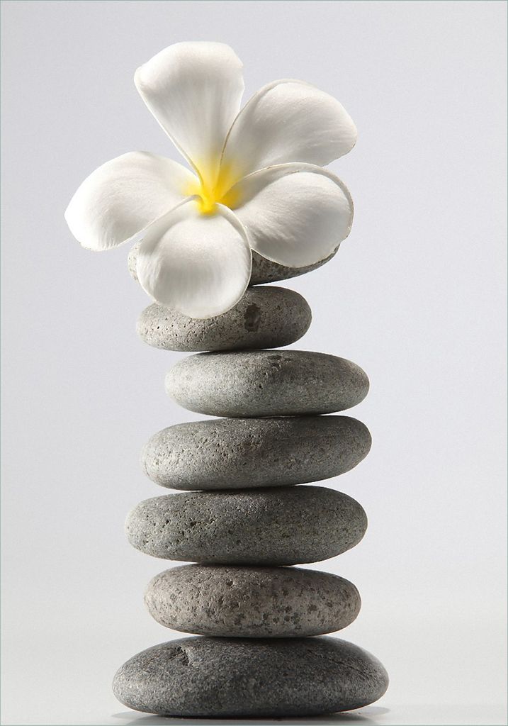 Wallario Poster - Blume auf gestapelten Steinen, Kunstdruck Größe: 70 x 100 cm