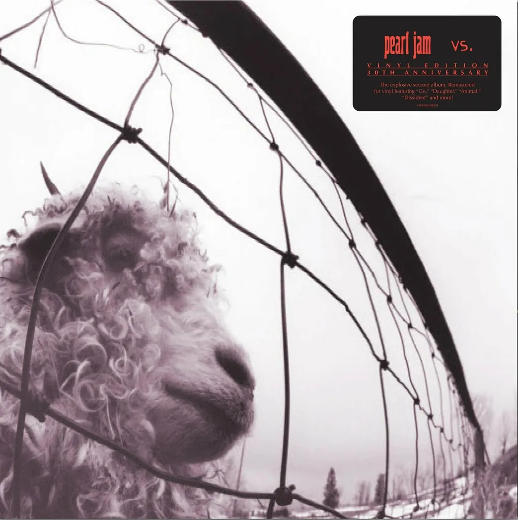 Pearl Jam VS Remasterisé 30e Anniversaire 2 LP Son Haute Fidélité