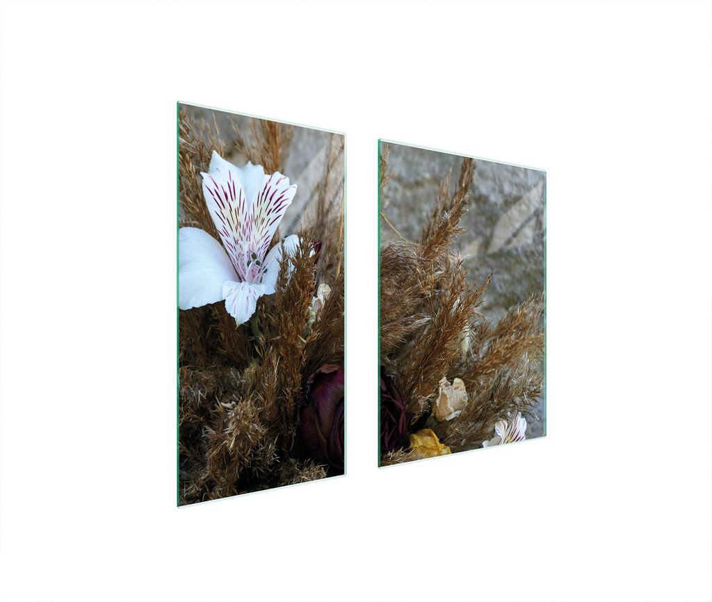 Glasschutzplatte 75x52 Orchidee