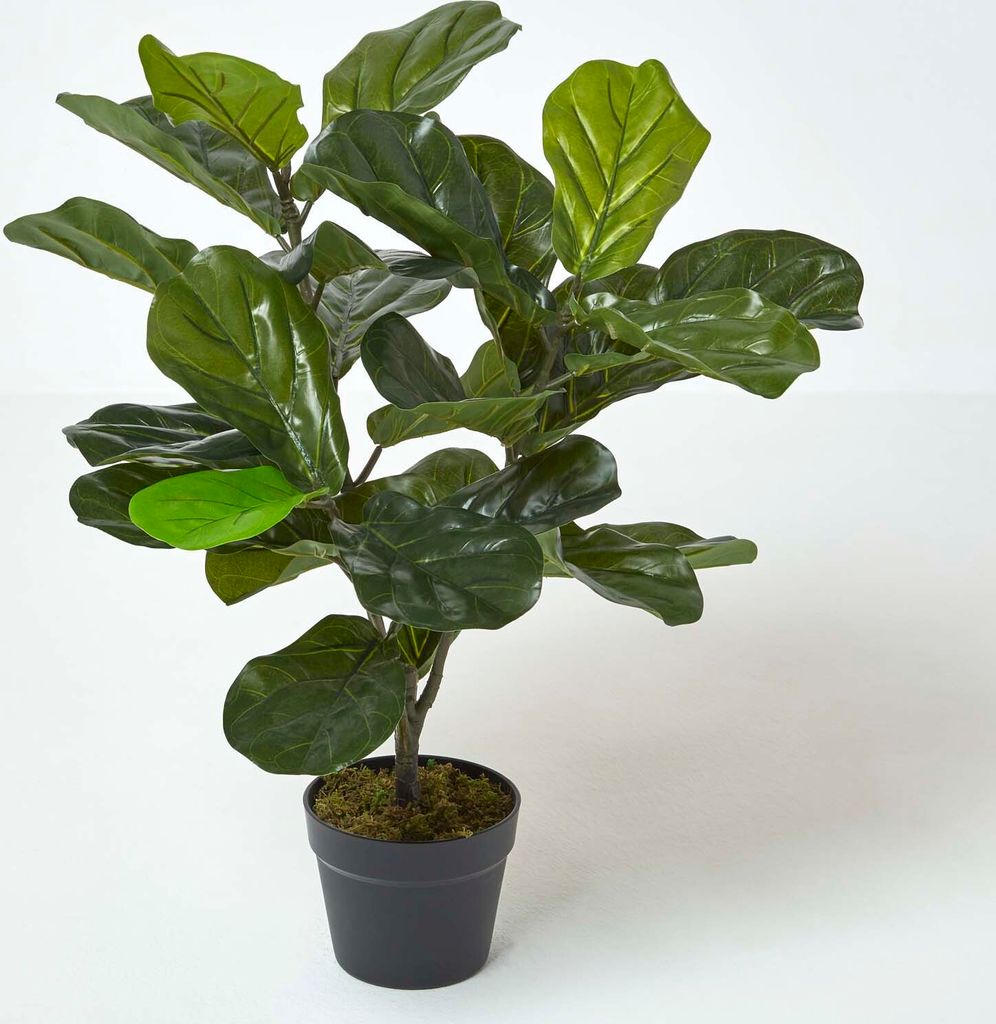 HOMESCAPES Geigenfeige Kunstpflanze im Topf - 70 cm