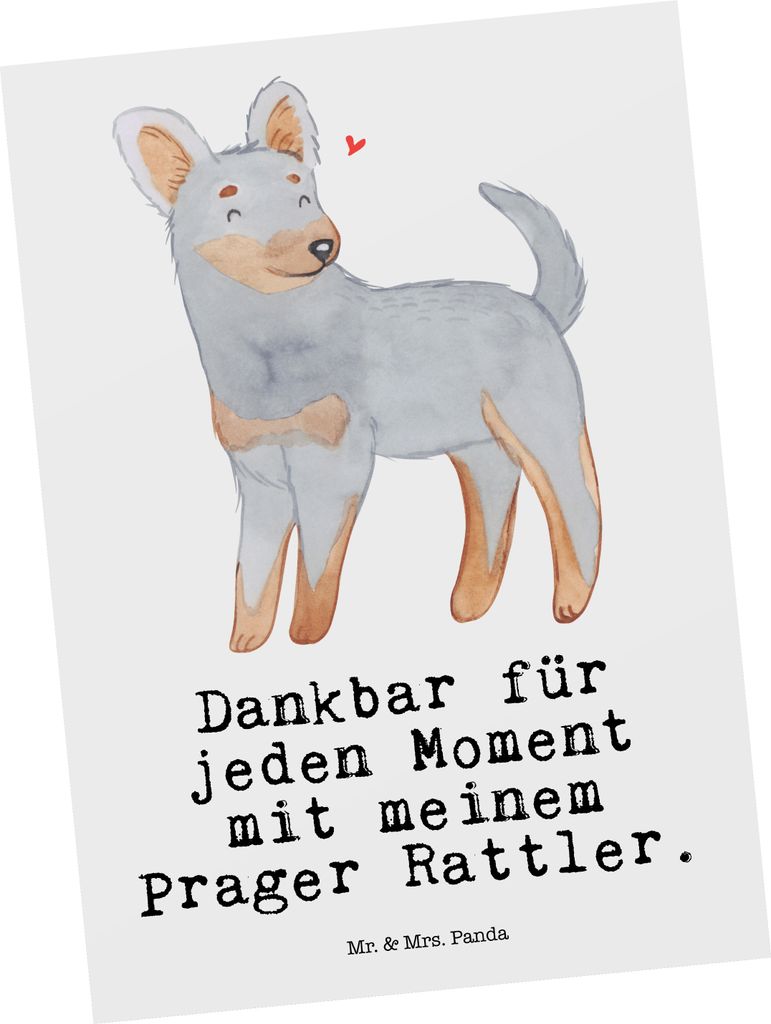 Mr. & Mrs. Panda Postkarte Prager Rattler Moment - Weiß - Geschenk, Pincher, Postkarten, Fotokarte, Ansichtskarten, Ansichtskarte, Grußkarte