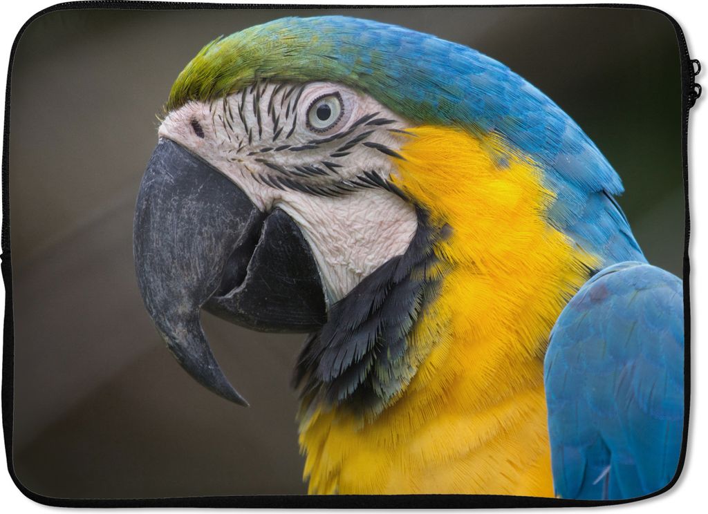 MuchoWow Laptop Hülle 13 Zoll Blauer und gelber Ara Fotodruck Laptoptasche - Laptophülle - Sleeve - Rundumschutz