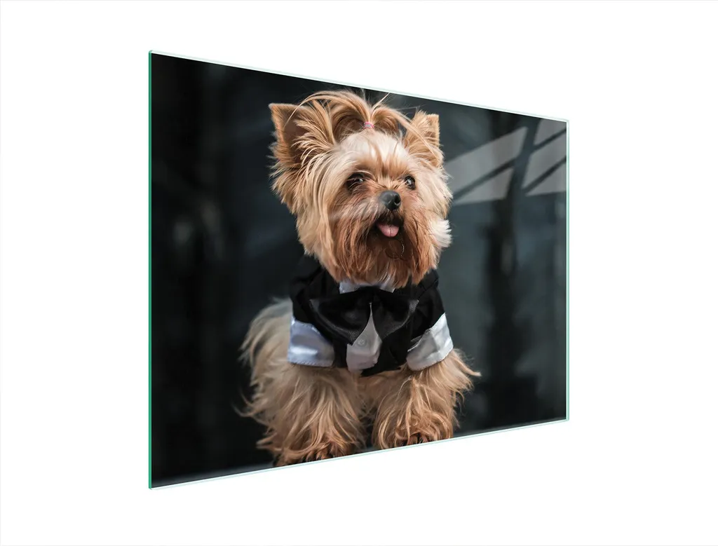 Tagliere vetro temperato 40x30 design cane - Protezione piano lavoro