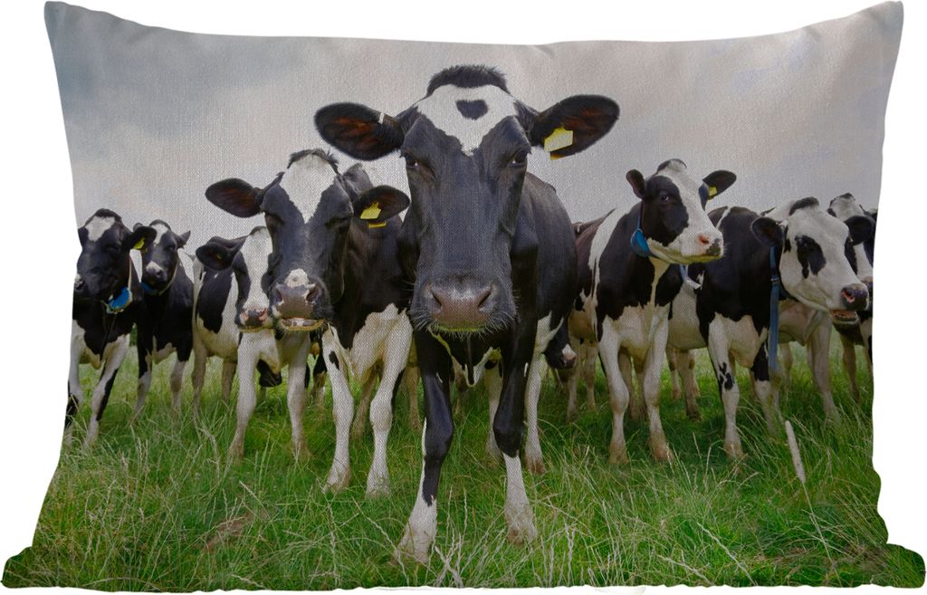 MuchoWow Outdoor Kissen - Kühe - Gras - Frühling - Tiere - Wiese - Bauernhof - 60x40 cm - Wetterfest - Lounge Kissen - Zierkissen - Kissen für...