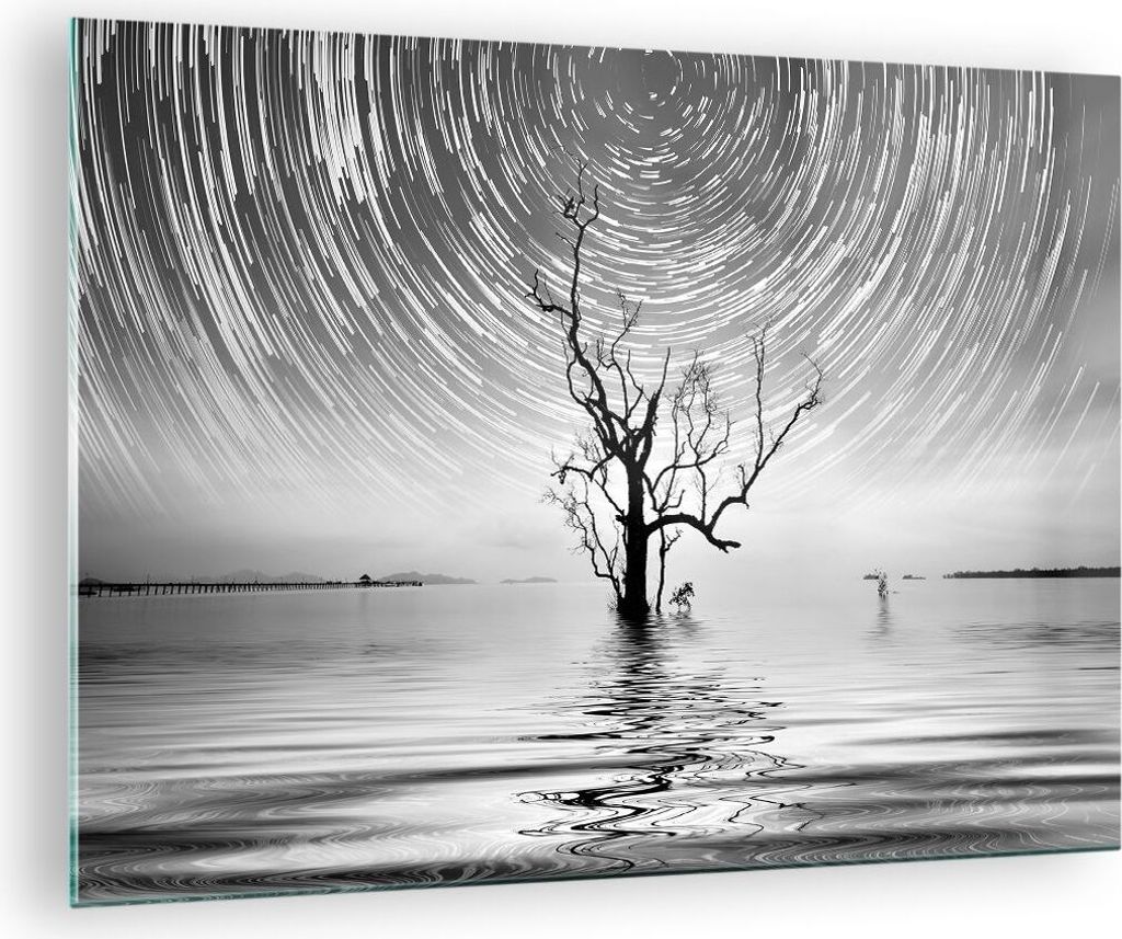 Bilder auf glas - Einteilig - Schwarzweiß Baum See - Produktbild 