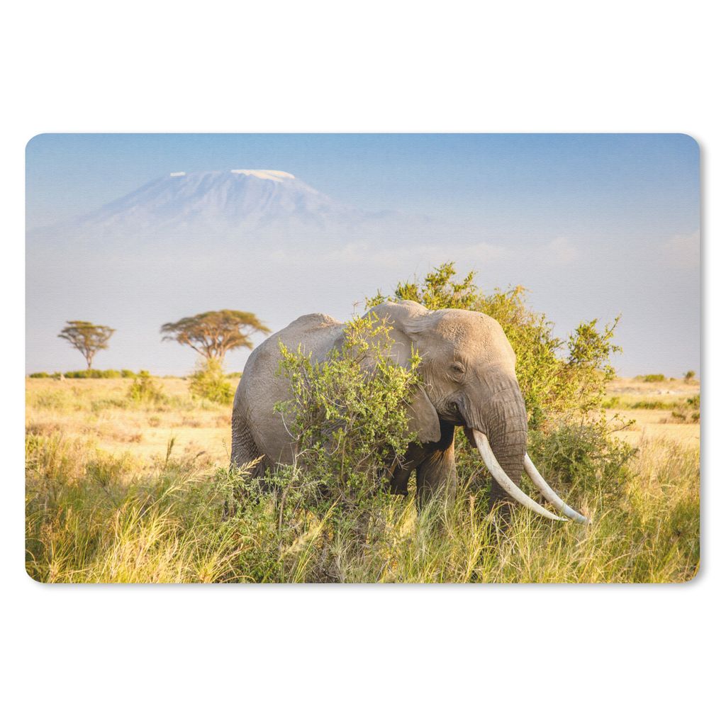 MuchoWow Schreibtischunterlage Elefant - Tiere - Gras - Grün - Berg 60x40 cm - XXL Mauspad - Großes Mauspad