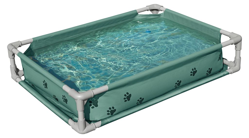Piscine Bestway® My First Frame pour animaux de compagnie, Image du produit 
