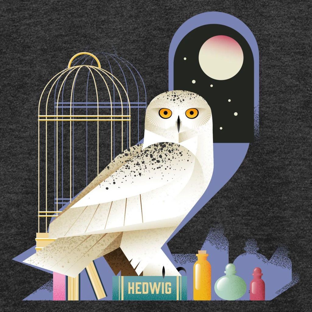 Spreadshirt Harry Potter Eule Hedwig Bei Nacht Teenager Premium T-Shirt, 158/164 (12 Jahre), Anthrazit meliert