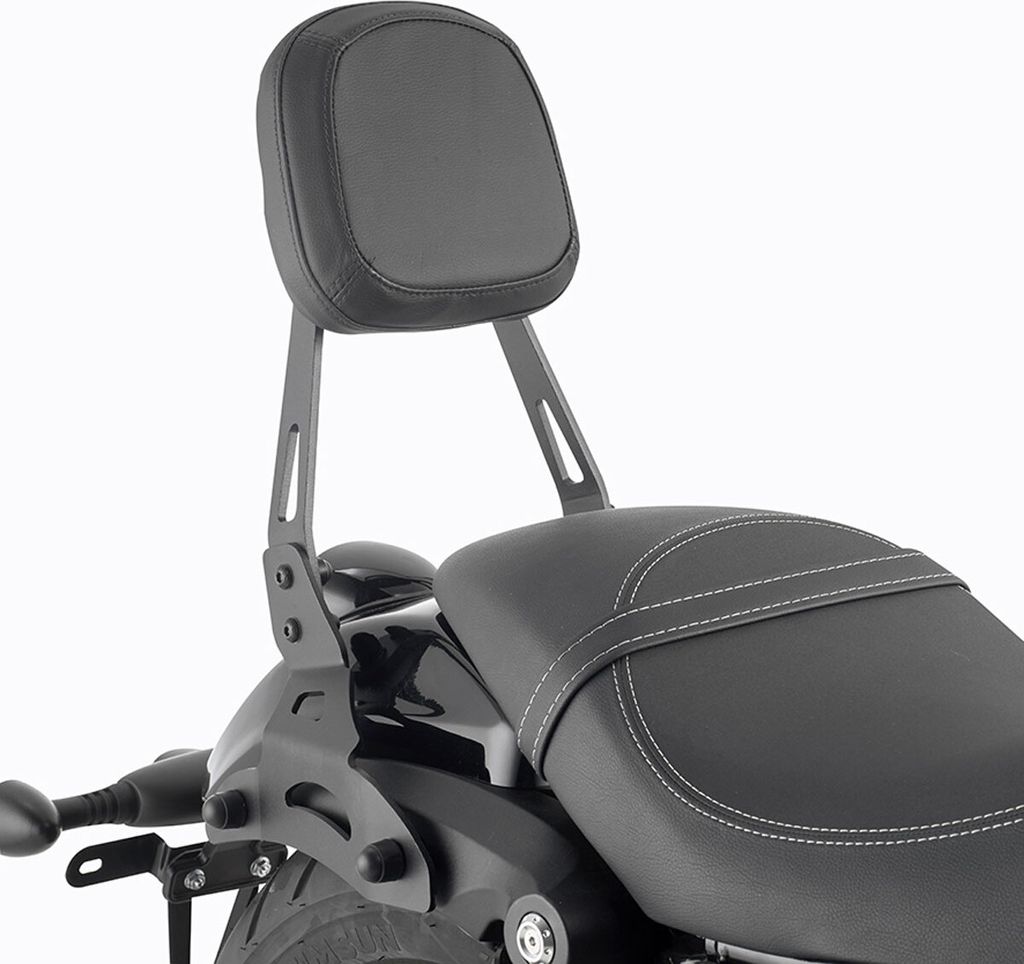 Passagier-Rückenlehne komplett