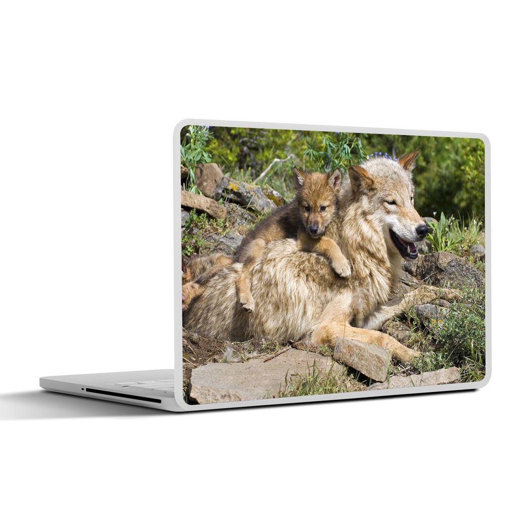 MuchoWow Laptop Aufkleber Sticker Cover Wolf - Jungtier - Tier 40x30 cm - Laptop Dekoration - Selbstklebend