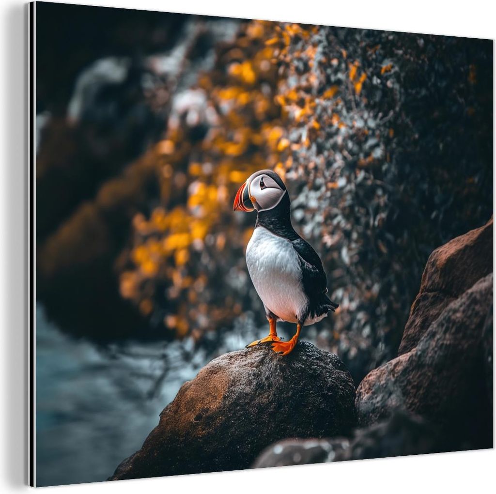 MuchoWow Wanddekoration Metall Metallbild Wandkunst 40x30 cm Papagei - Vogel - Felsen - Weiß MuchoWow Aluminium Gemälde - Dekoration Wohnzimmer