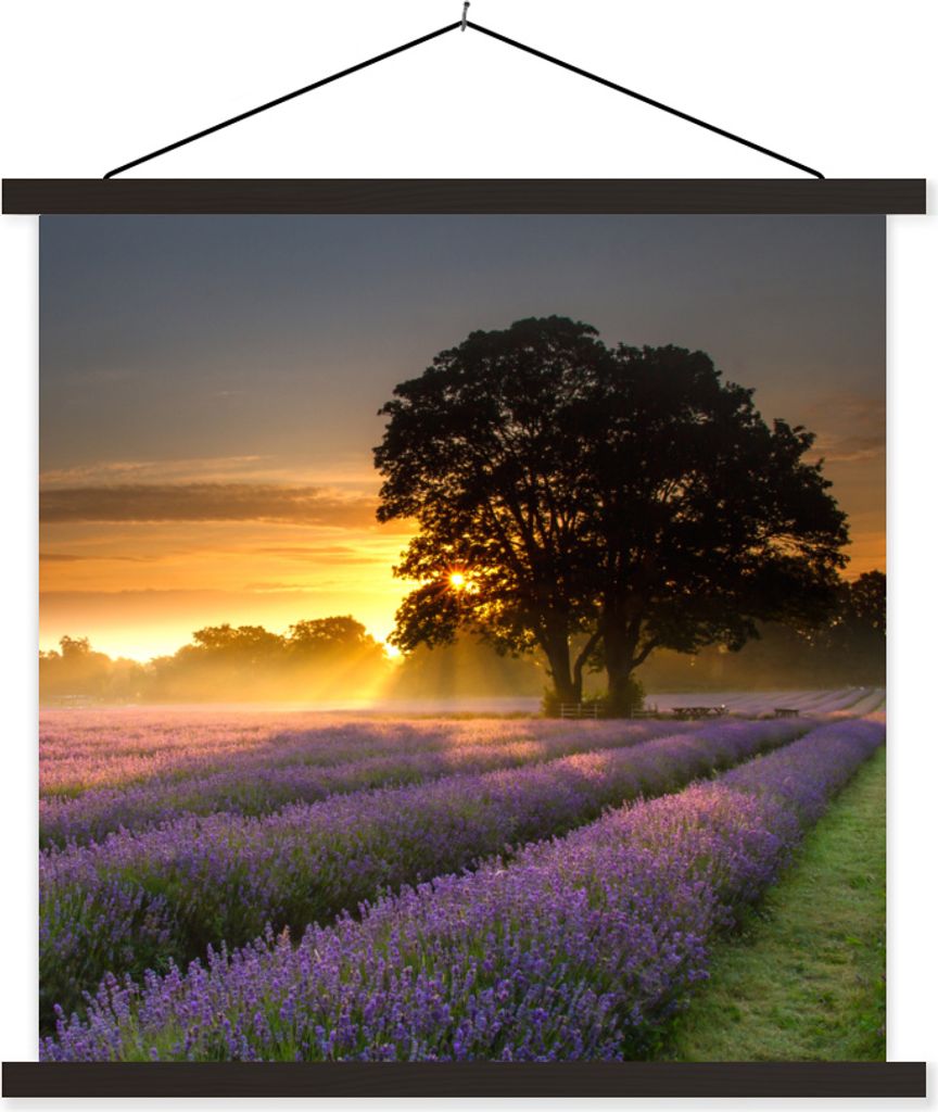 MuchoWow Textilposter Maifeld-Lavendelfelder bei nebligem Sonnenaufgang 60x60 cm mit schwarzem Rahmen - Posteraufhänger