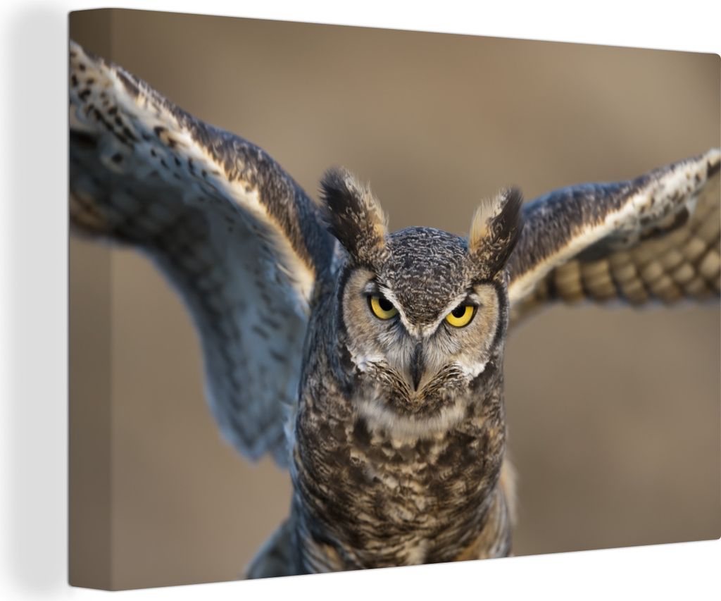 OneMillionCanvasses - Leinwandbilder - 140x90 cm, Fliegender amerikanischer Uhu, Wandbilder Kunstdruck Wanddekoration