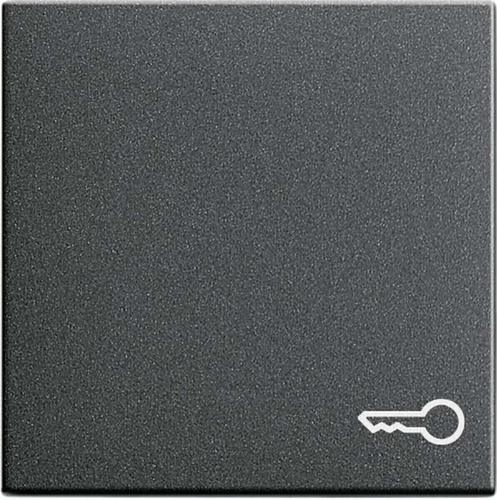 Remplacer Bascule Interrupteur GIRA Anthracite - Système 55 Durable