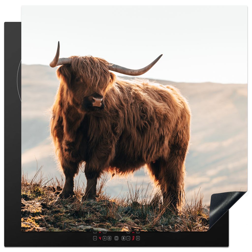 KitchenYeah Herdabdeckplatte Schottische Highlander - Tiere - Ländlich - Landschaft - Kuh - Natur , 78x78cm, Küche Deko, Glaskeramikkochfeld He...