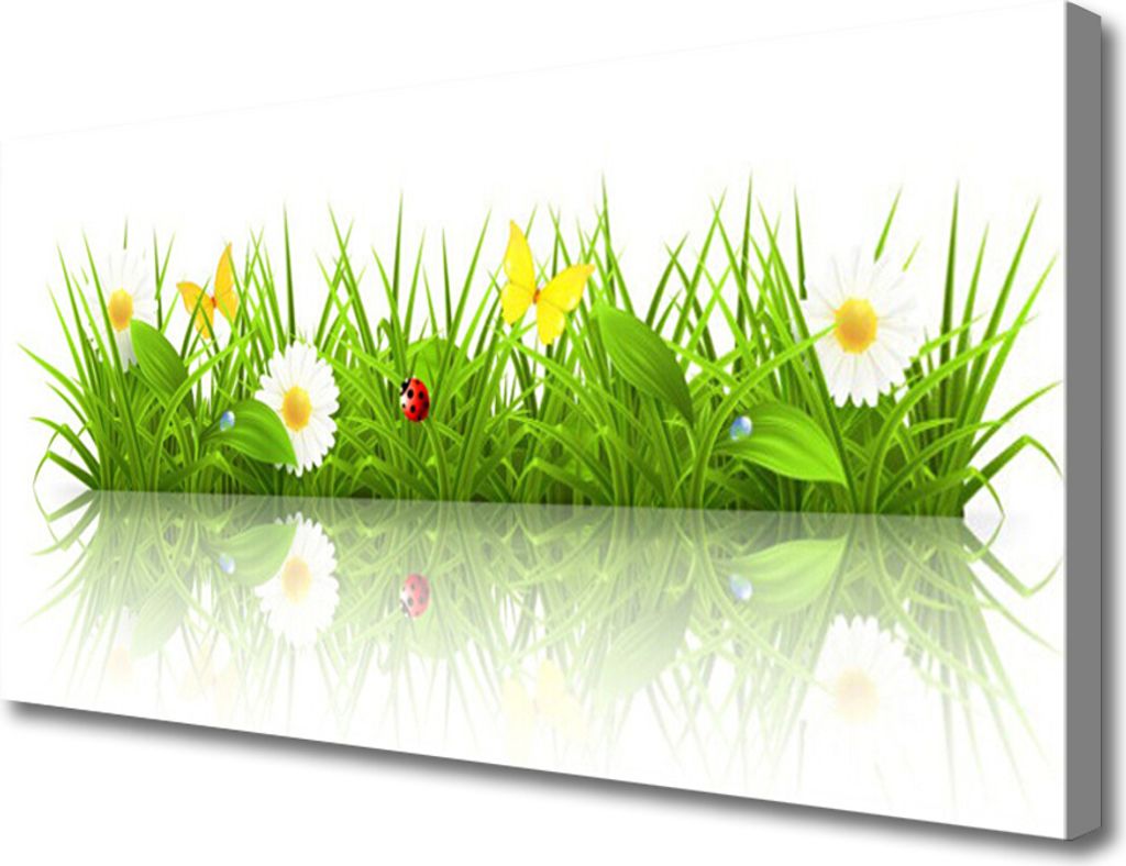 Tulup Leinwand-Bilder 100x50 Wandbild Canvas Kunstdruck Gras Natur