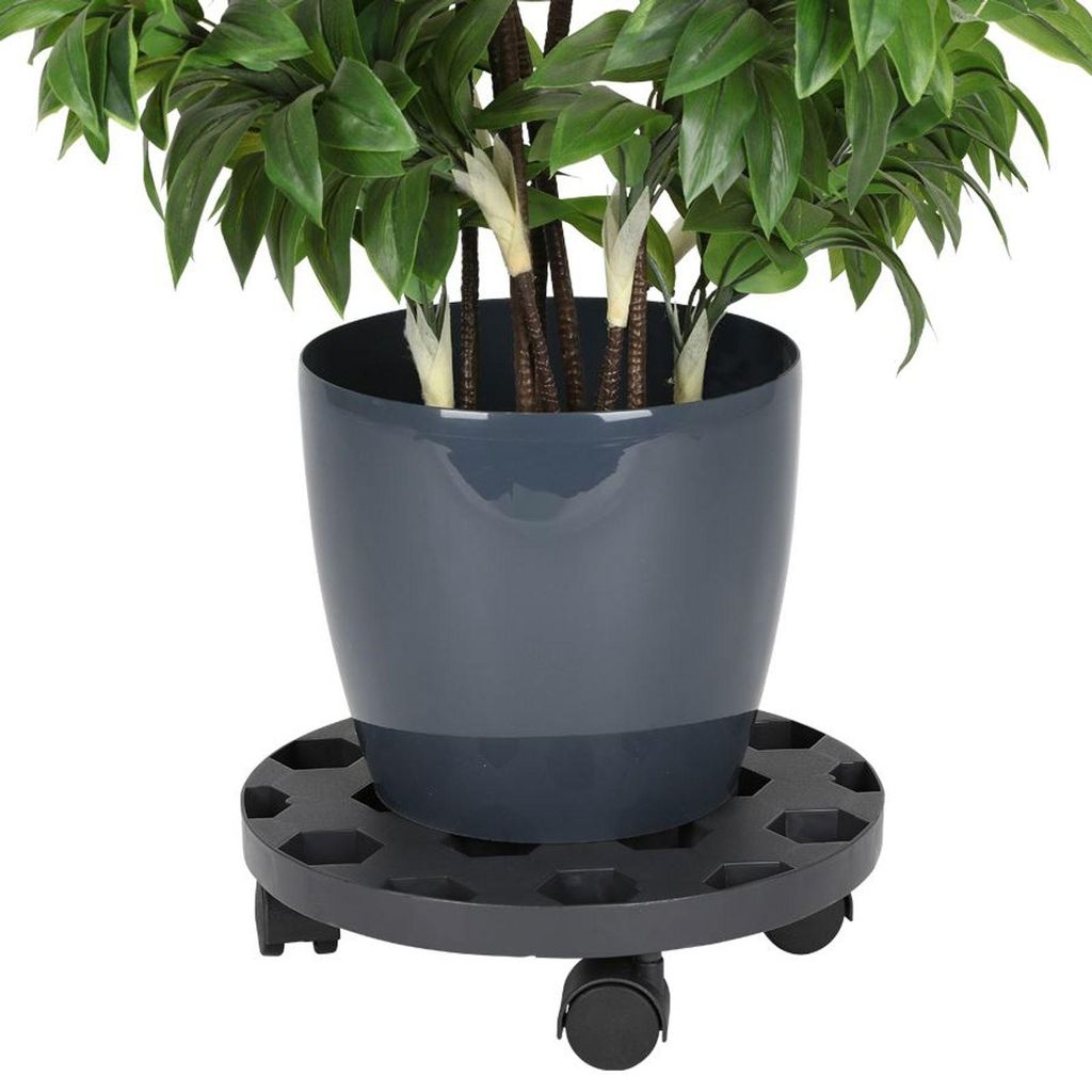 Roulette pour plantes 30 cm Roulette pour fleurs Image du produit 