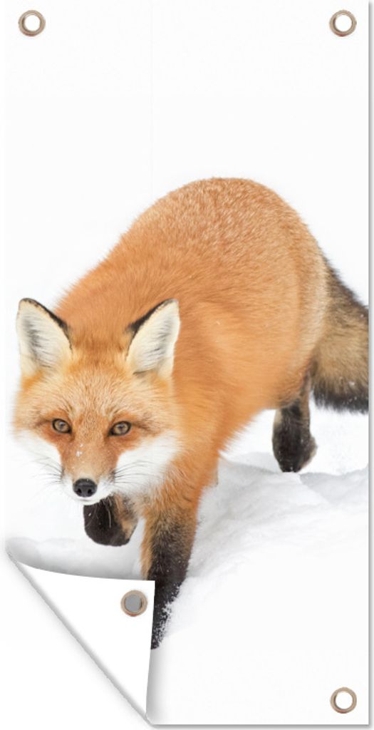 MuchoWow 40x80 cm Outdoor-Poster Gartendeko Sichtschutz Garten Poster für den Garten Fuchs - Schnee - Winter
