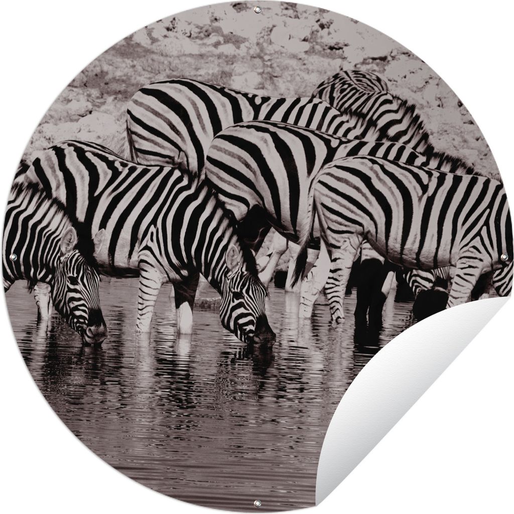 MuchoWow Gartenposter Outdoor-Poster Rund Zebras im Wasser Ø 120 cm Gartendeko Rundes Poster draußen