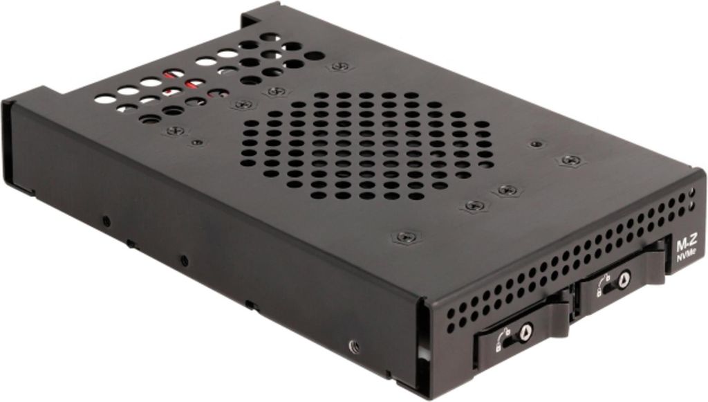 DeLOCK 3.5′′ Wechselrahmen für 2 x M.2 NVMe SSD, Einbaurahmen