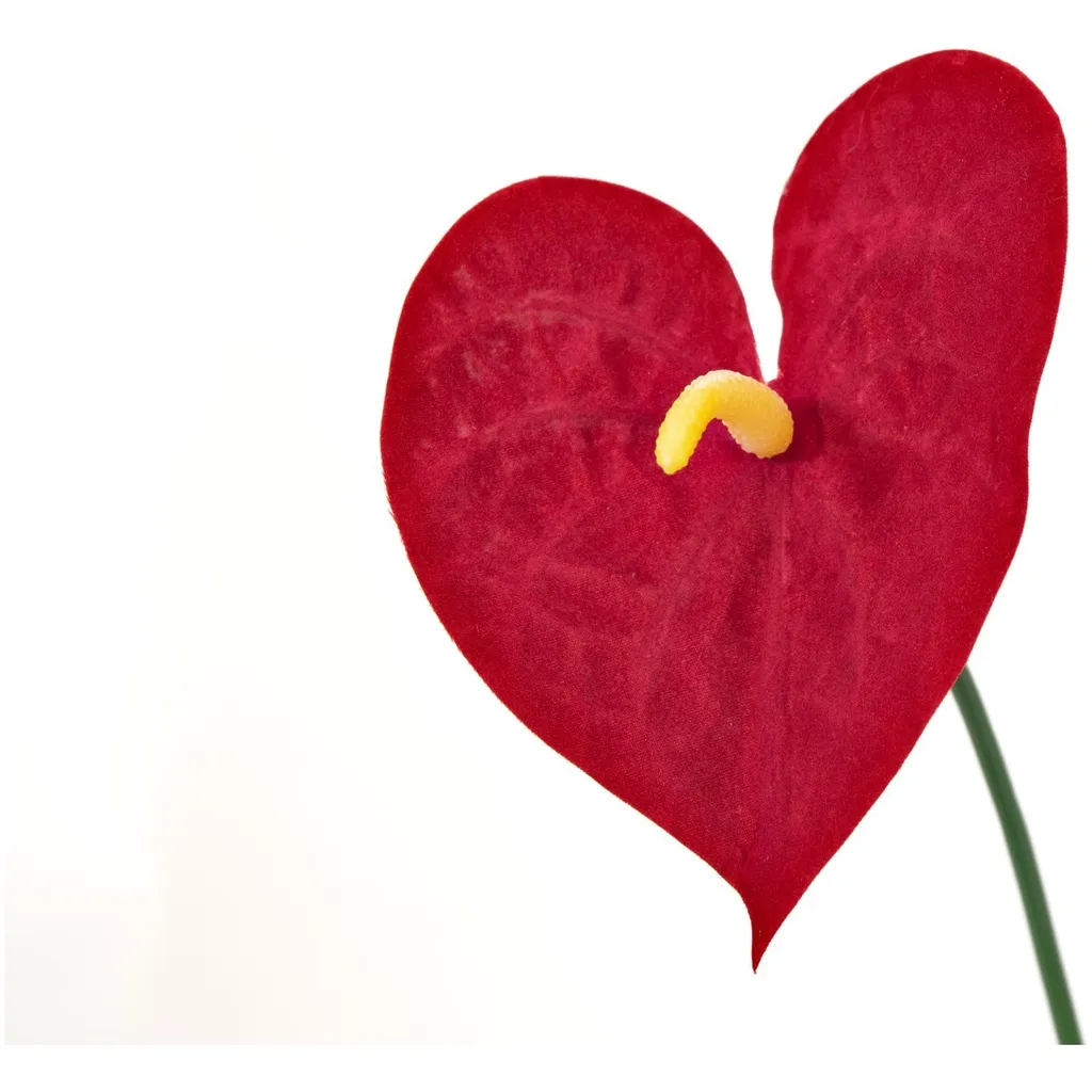 Anthurium artificiel 70cm pour décoration bureau et salon - Plante rouge - 4