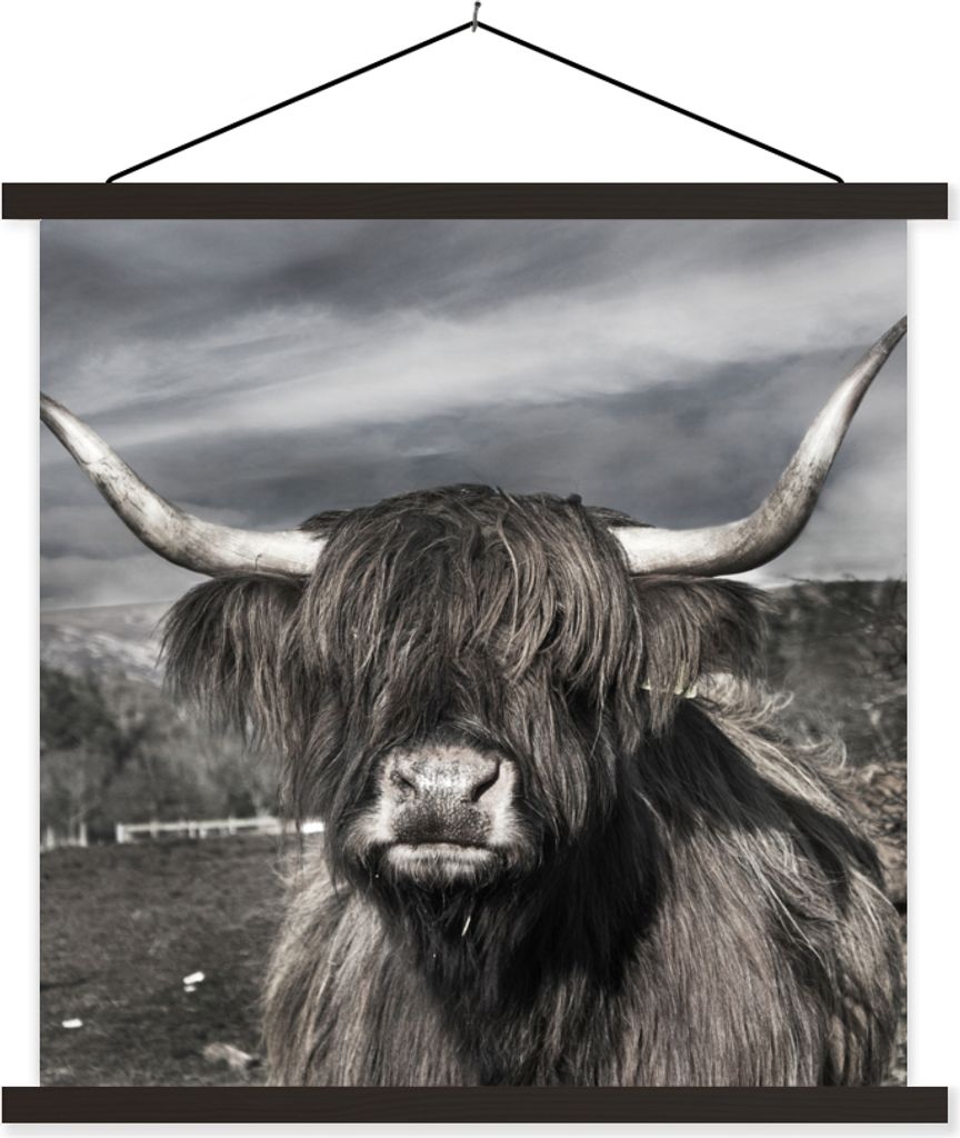 MuchoWow Textilposter Schottisches Hochlandrind - Tiere - Hörner 90x90 cm mit schwarzem Rahmen - Magnetisches