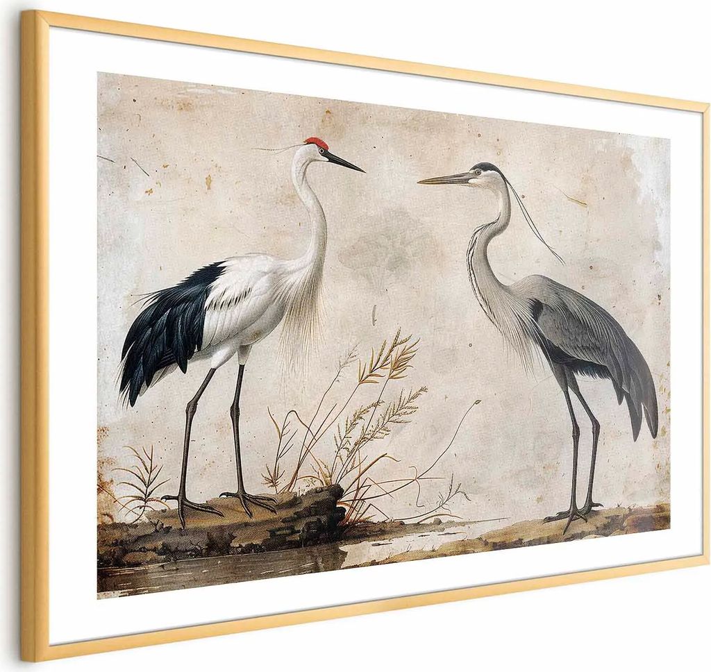 Posterpapier Poster - Birds from an Old Engraving - vintage-style illustration of a heron and a crane 60x40 cm Tiere g-C-10156-ao-a