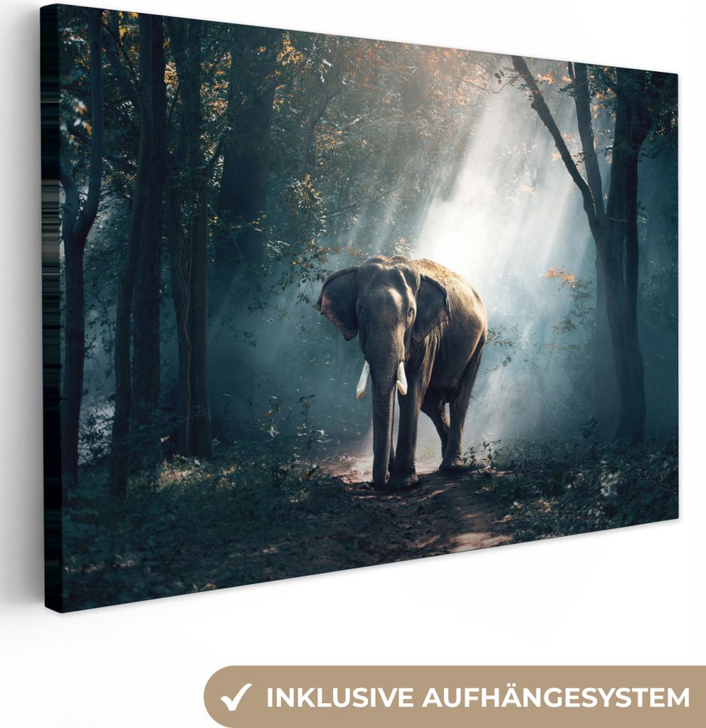 MuchoWow - Leinwandbilder - Elefant - Tiere - Licht - Wald - Natur - Wildtiere, Wandbild, Wanddeko Bilder Wohnzimmer, 120x80 cm