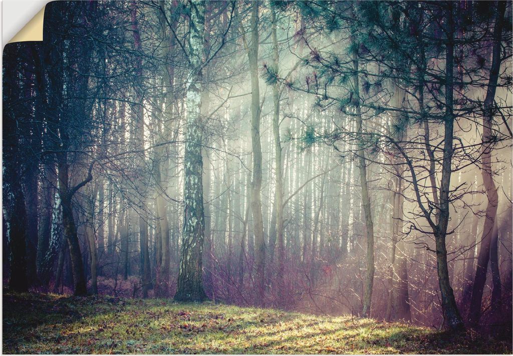 ARTland Wandbild, selbstklebend Sonnenstrahlen im Wald Größe: 100x70 cm