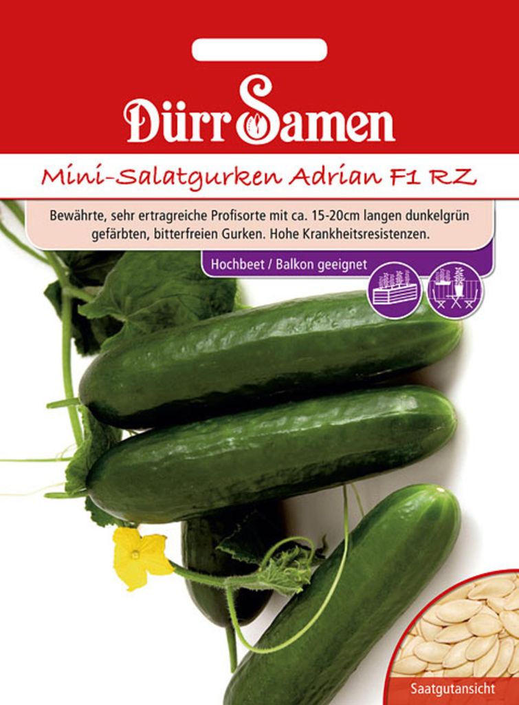 Dürr-Samen - Mini-Gurken Adrian F1 RZ - Saatgut - 1013