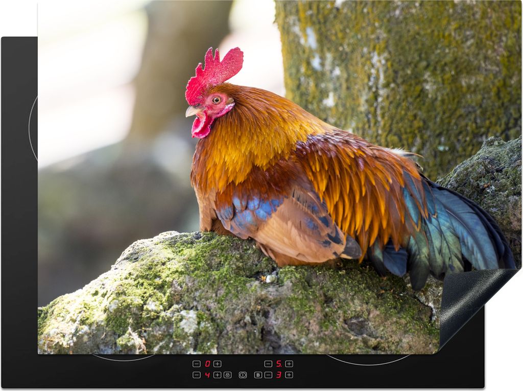 KitchenYeah Herdabdeckplatte Ein Hahn sitzt auf einem Ast eines Baumes , 70x52cm, Küche Deko, Glaskeramikkochfeld Herdabdeckung, Abdeckplatte f...