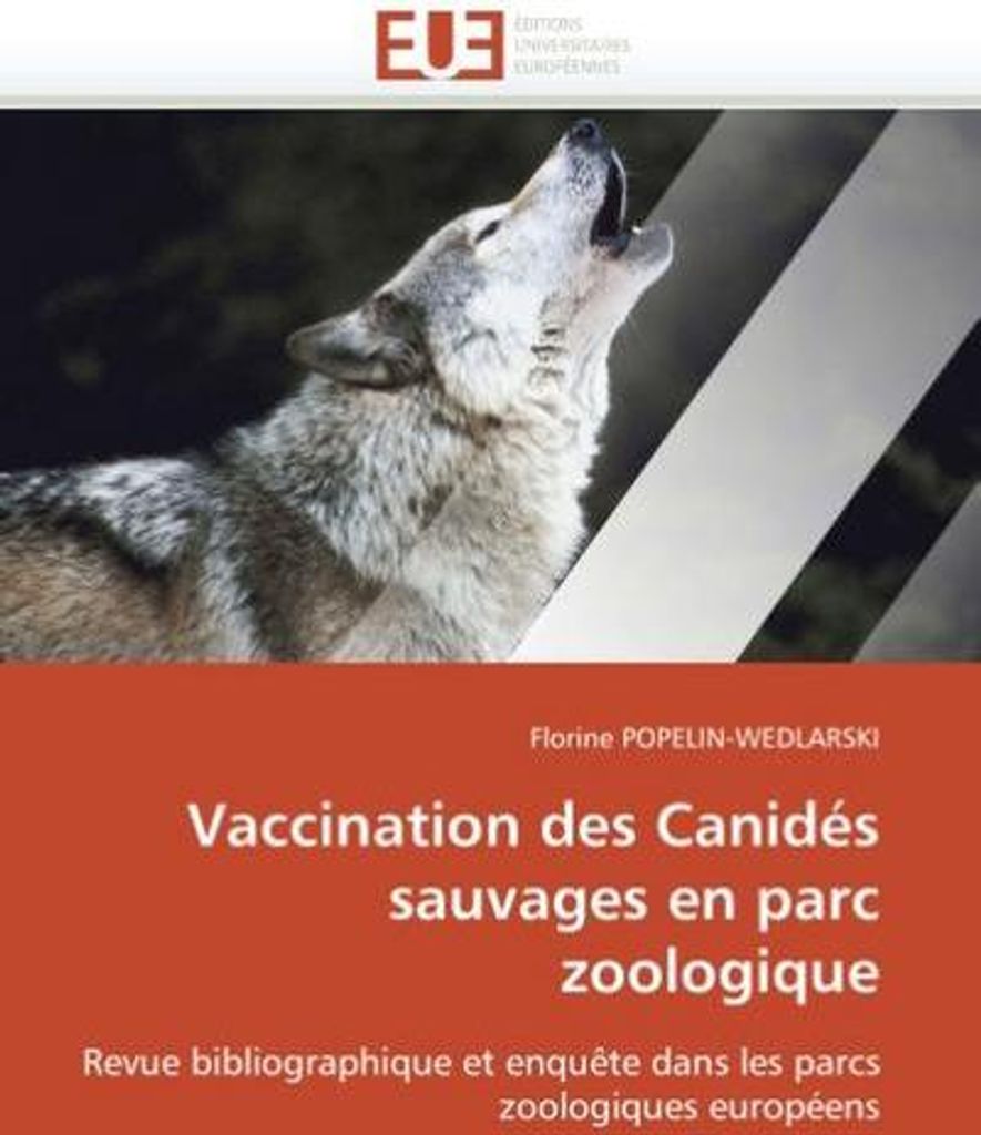 Vaccination Des Canidés Sauvages En Parc Zoologique