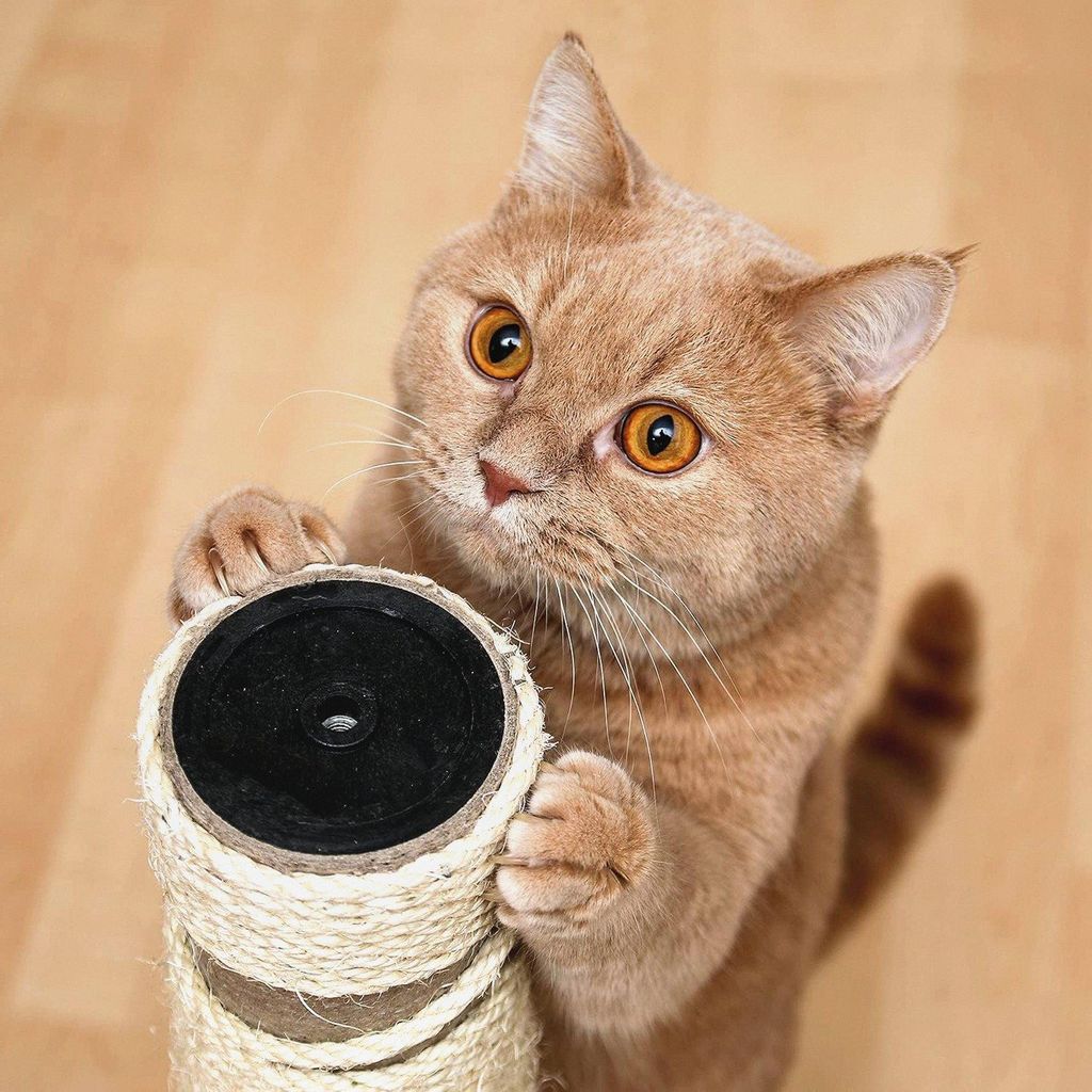 Kratzbaum Rohr mit Kugel 45cm