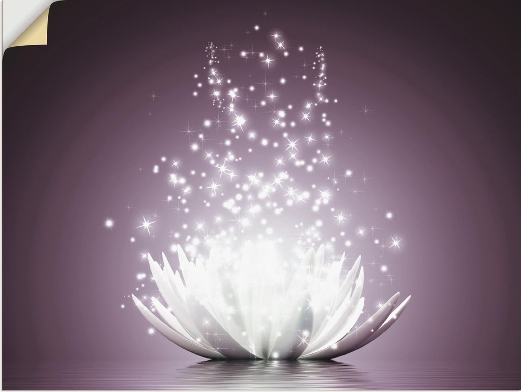 ARTland Wandbild, selbstklebend Magie der Lotus-Blume - violet Größe: 80x60 cm