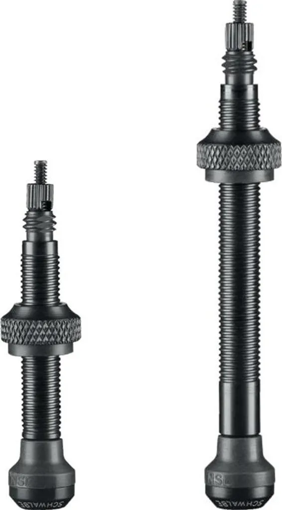 Valves tubeless longues 80 mm avec obus démontable pour carbone