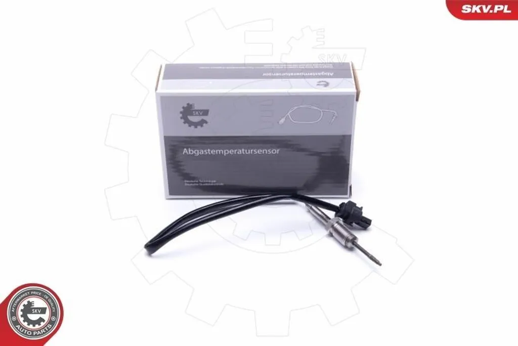 Supprimez le voyant moteur BMW E91 avec le capteur ESEN SKV 30SKV399