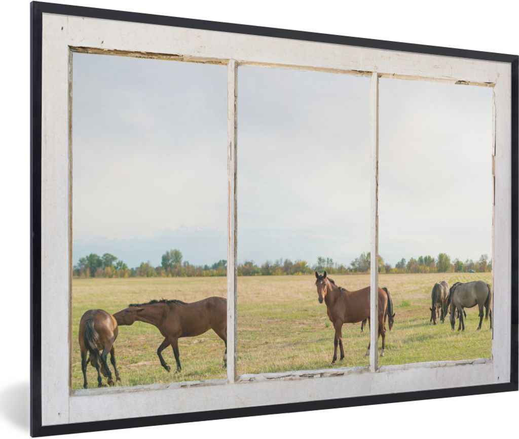MuchoWow MuchoWow Gerahmtes Poster Durchschauen - Pferde - Tiere 30x20 cm - Poster mit zchwarzem Bilderrahmen - Kunstdruck - Bild-Poster
