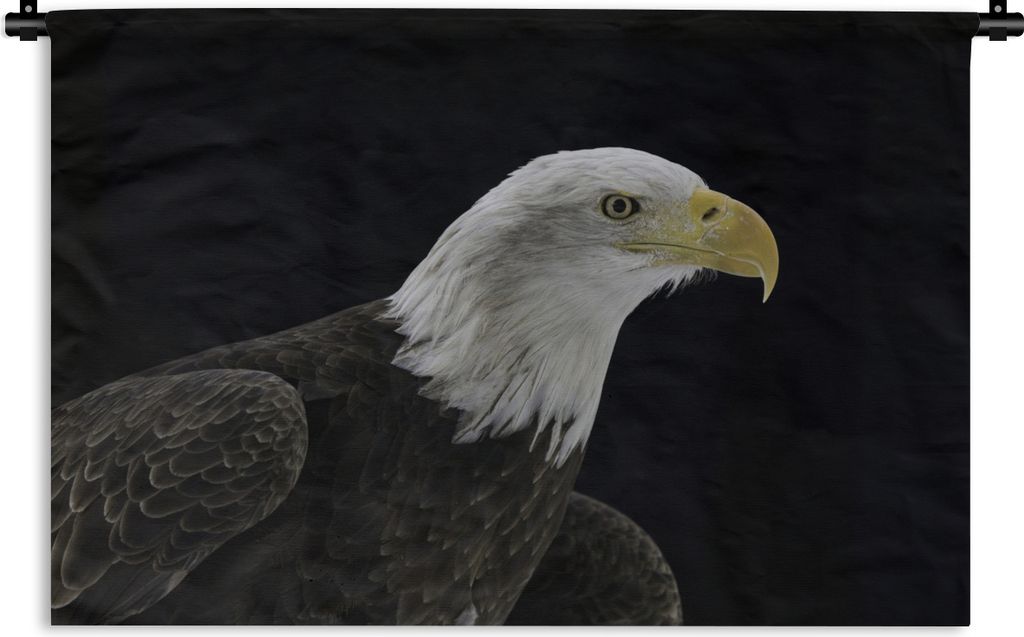 MuchoWow Wandteppich Wandbehang Adler - Vogel - Schnabel - Schwarz 60x40 cm Tapisserie Dekoration Wandtuch - Wanddekorationen