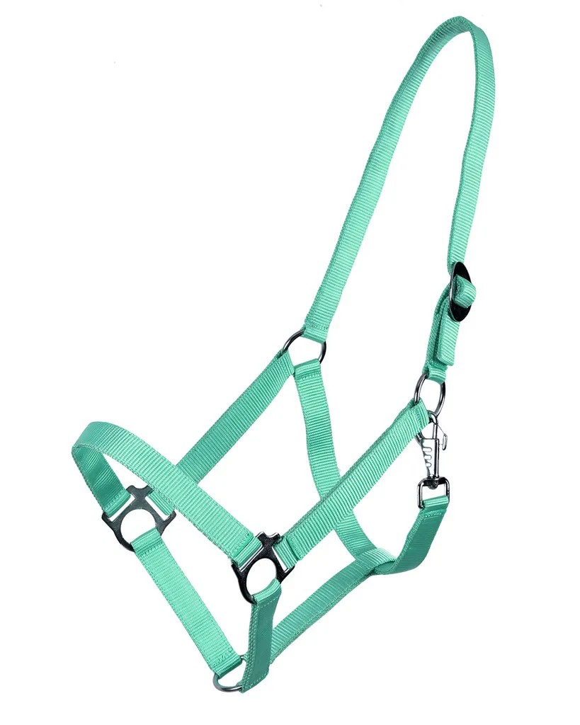 Cavezza Cob Turchese con Fibbia Scorrevole | Design e Massimo Comfort