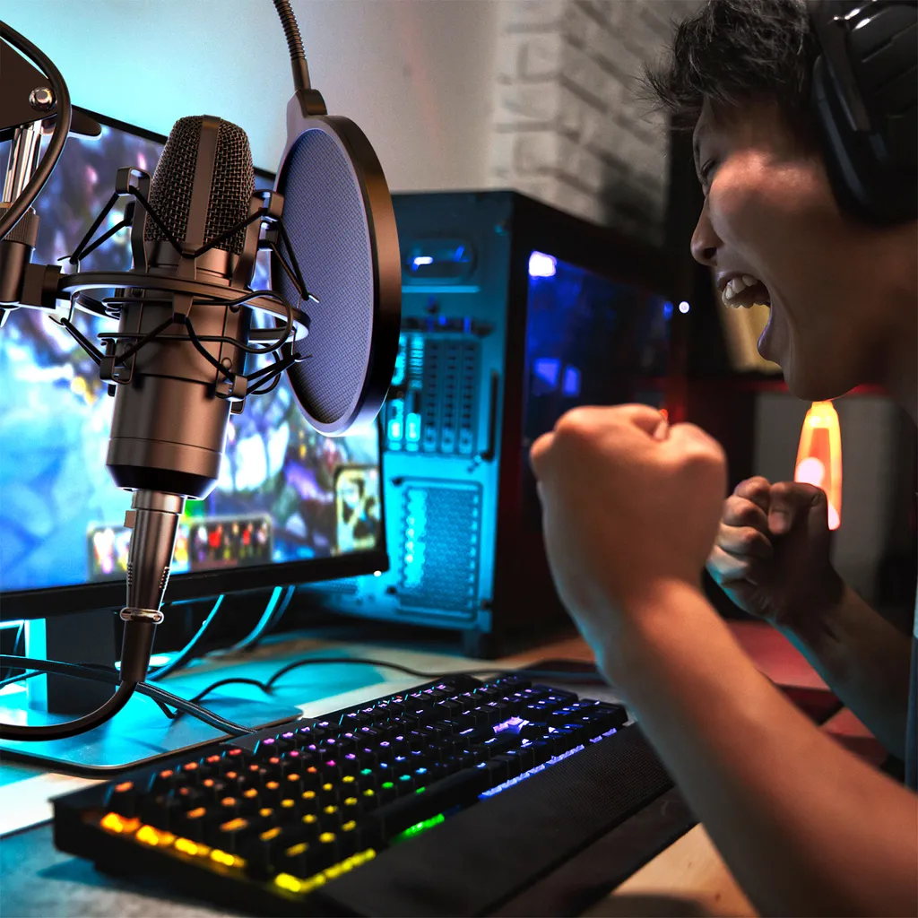 Microphone de Streaming LIAM&DAAN avec Protection Pop et Araignée - 7