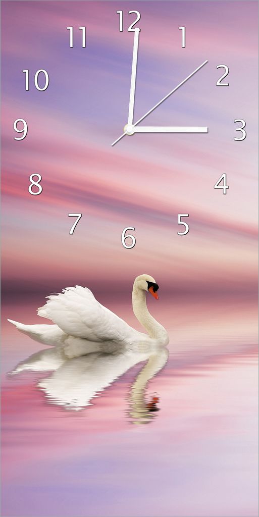 Wallario Design Wanduhr Weißer Schwan im rosafarbenen See aus Echtglas, Größe 30 x 60 cm