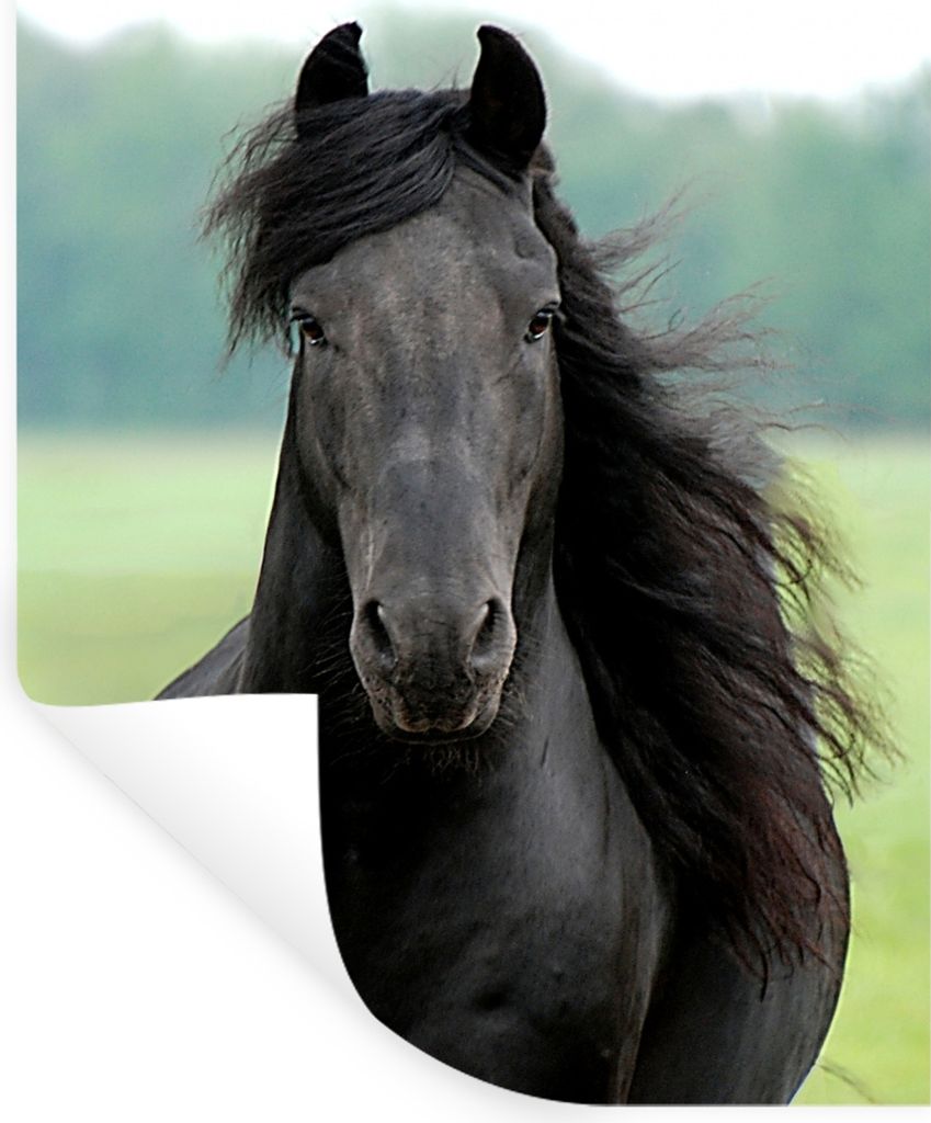 MuchoWow - Sticker - Dekorfolie