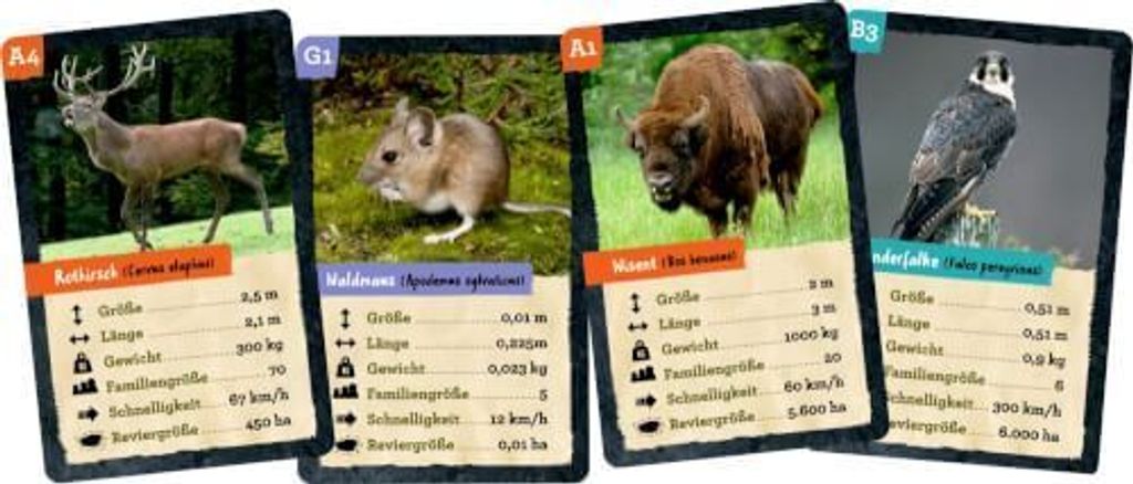 Coppenrath Verlag 17209 Quartett Heimische Tiere