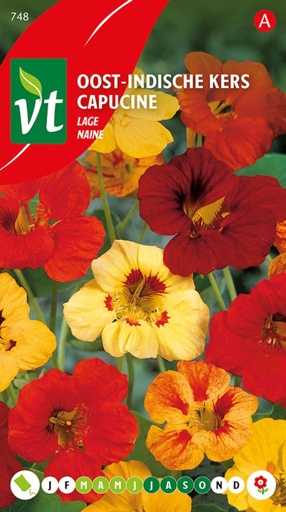 Kapuziner Naine Samen - Ca. 3.5 gr | VT_748 Produktbild 
